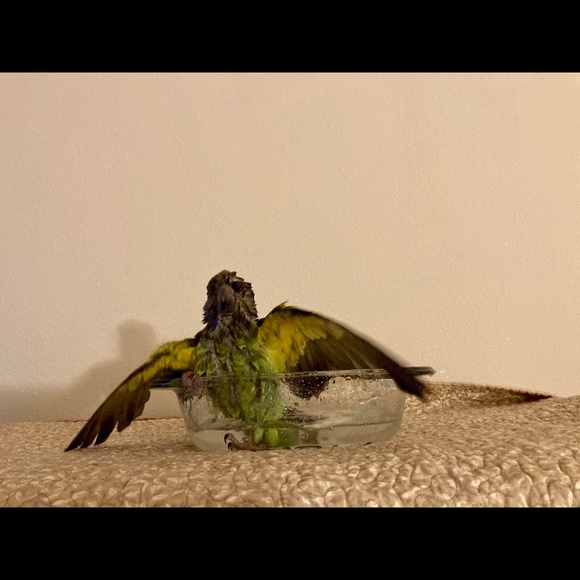 Meet your Posher, Christina - Picture 3 of 5